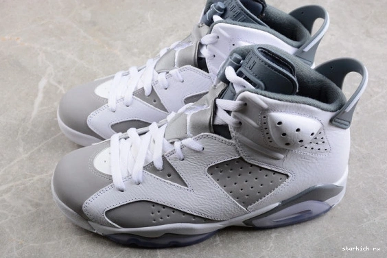 CT8529-100 Grey Cool CT8529-100 Jordan Retro 6 0309